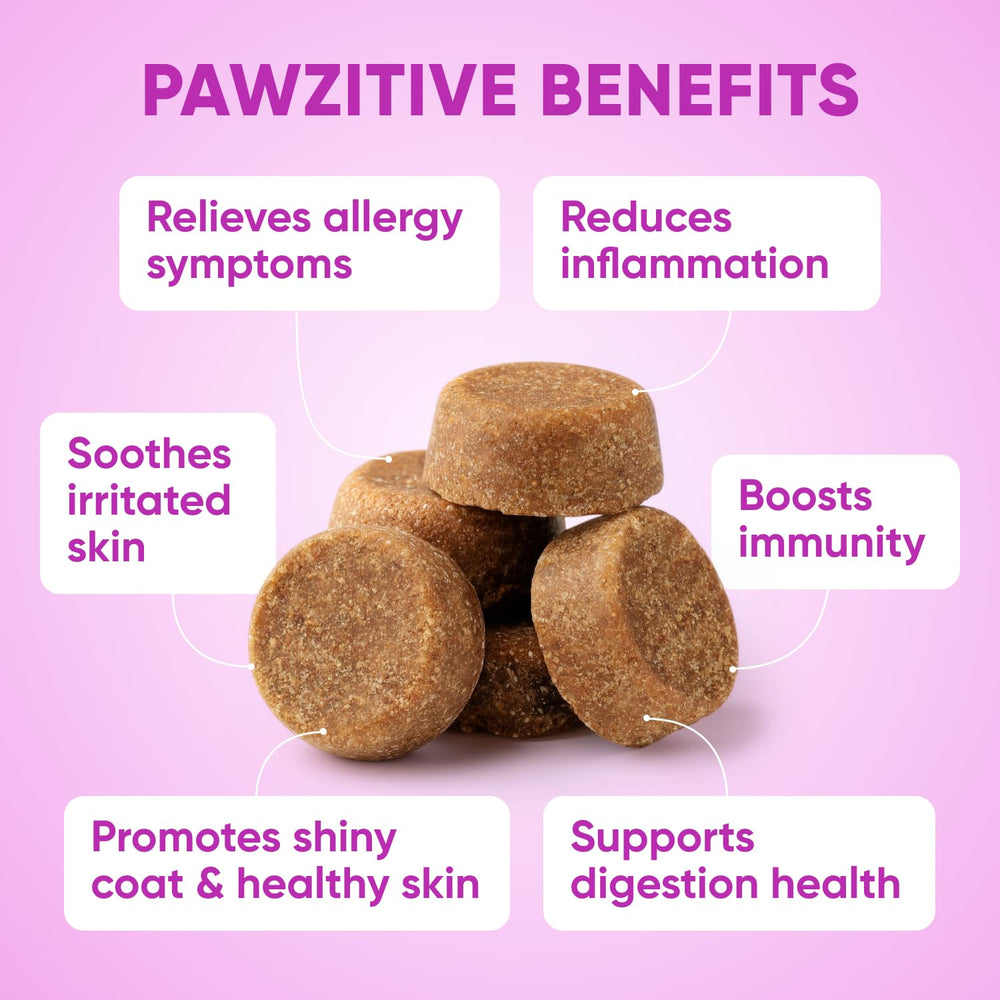 Pawzitive Pets dog allergy chews packaging shows USA-made, vet-developed formula