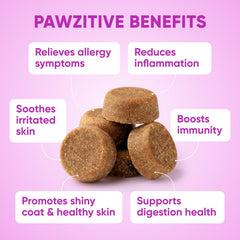 Pawzitive Pets dog allergy chews packaging shows USA-made, vet-developed formula