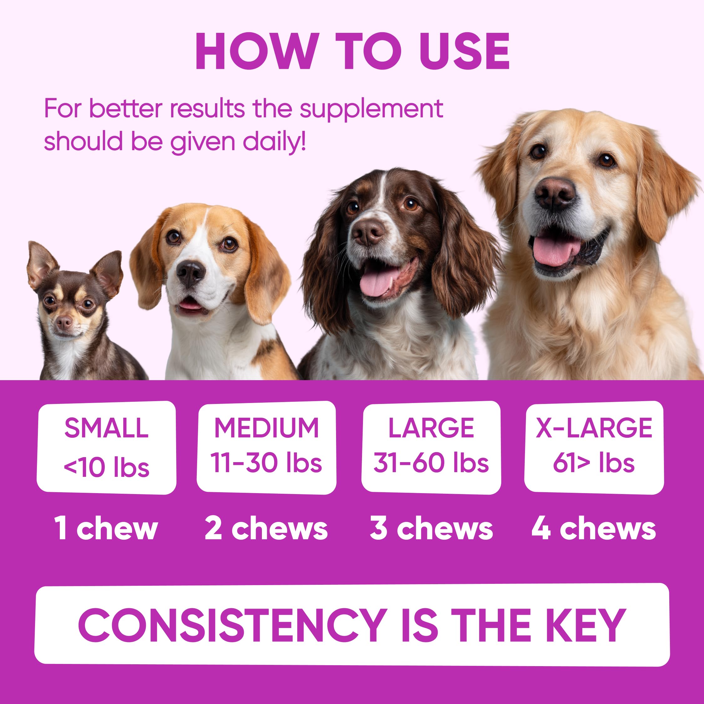 Pawzitive Pets dog allergy relief chews on table illustrate daily wellness routine
