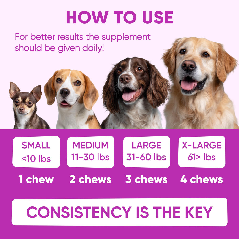 Pawzitive Pets dog allergy relief chews on table illustrate daily wellness routine