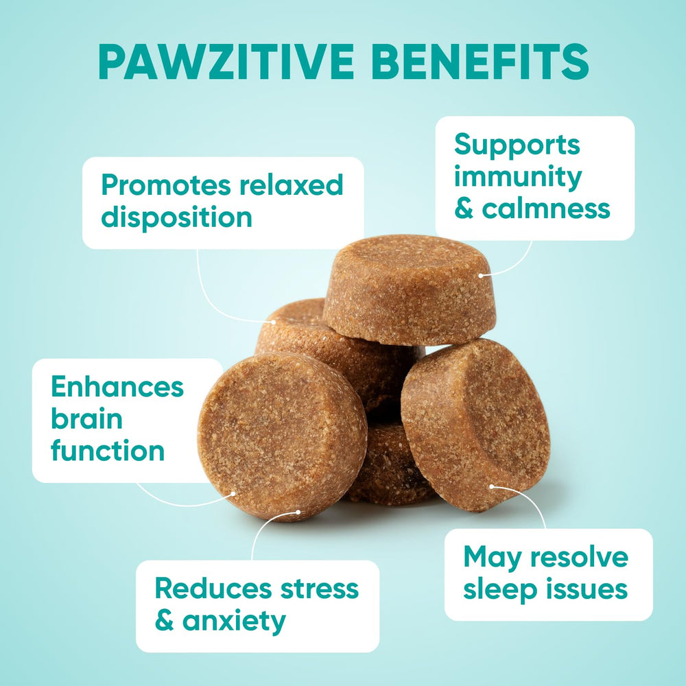 Pawzitive Pets calming chews near travel bag for road trips.
