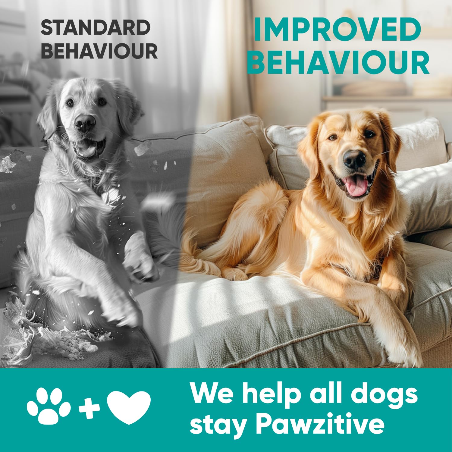 Pawzitive Pets melatonin ingredient close-up highlighting sleep support for dogs.