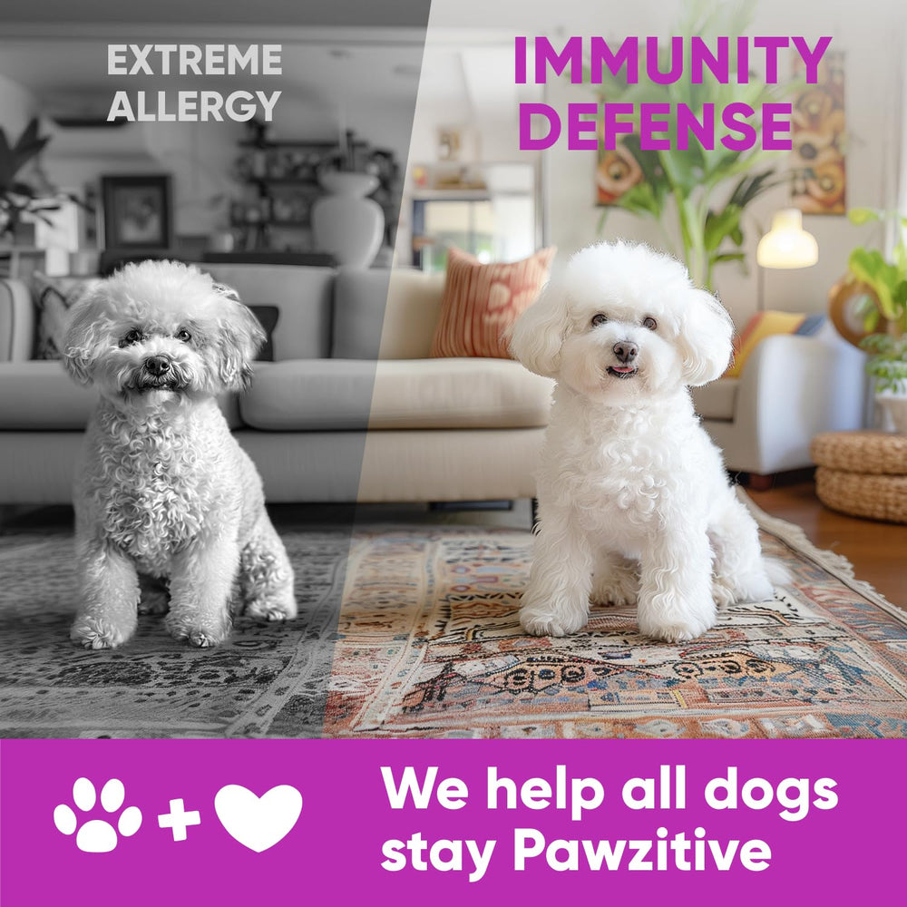 Pawzitive Pets immune support chews bottle hints at immune support