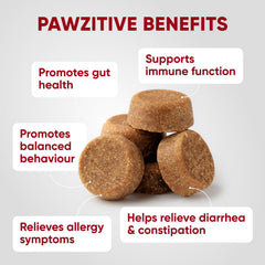 Pawzitive Pets immune-support chews for dogs promote digestive wellness.