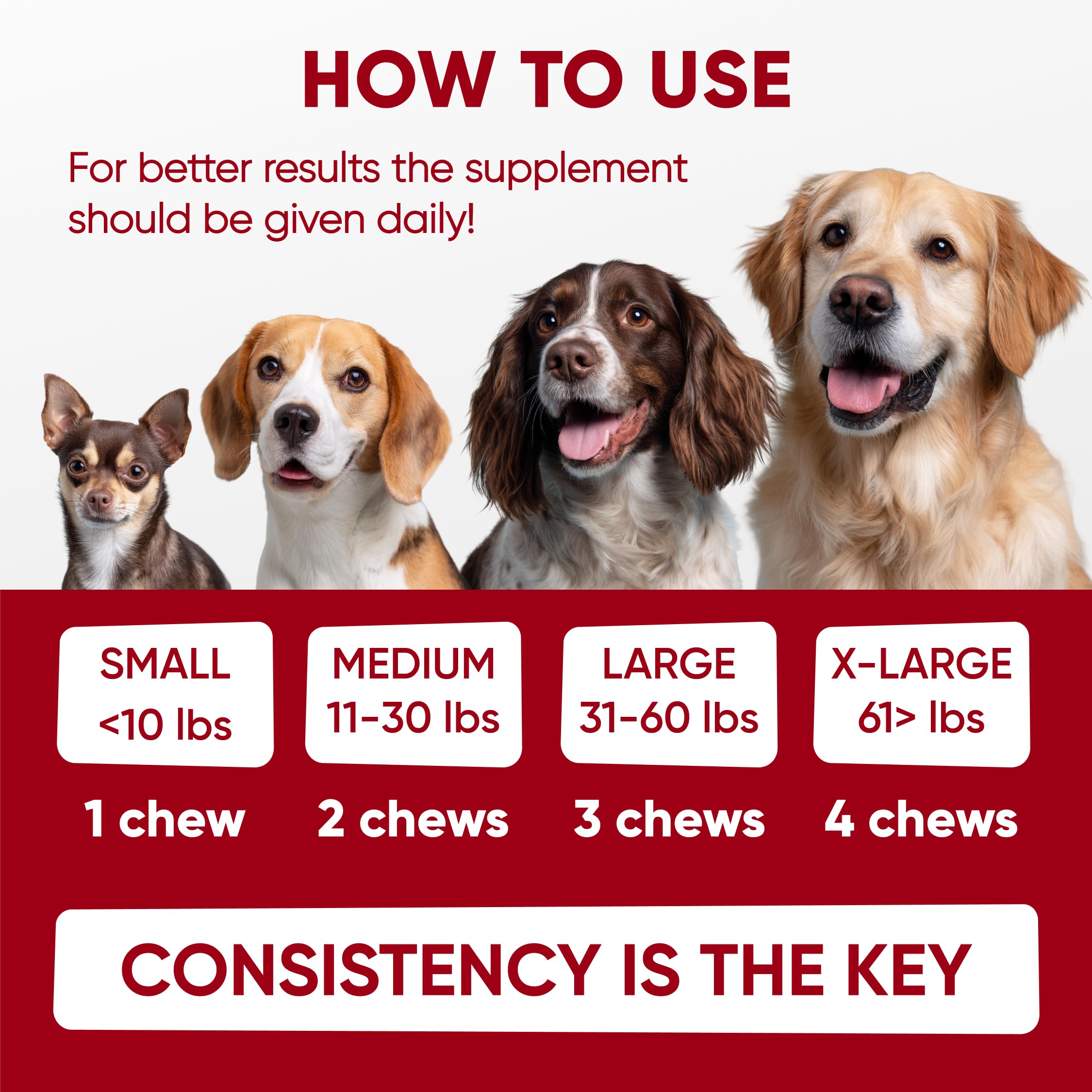 Pawzitive Pets natural ingredients dog chews promote gut balance and comfort.