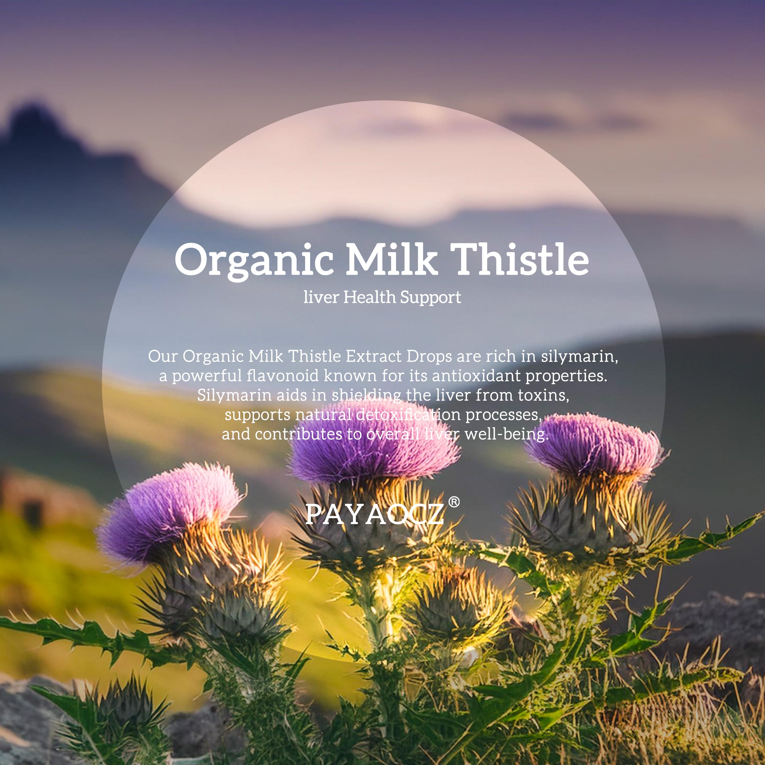 PAYAOCZ Milk Thistle Drops label close-up with organic ingredients.