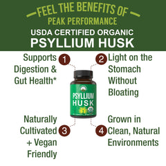 Peak Performance organic psyllium husk powder — plant-based prebiotic fiber for gut health