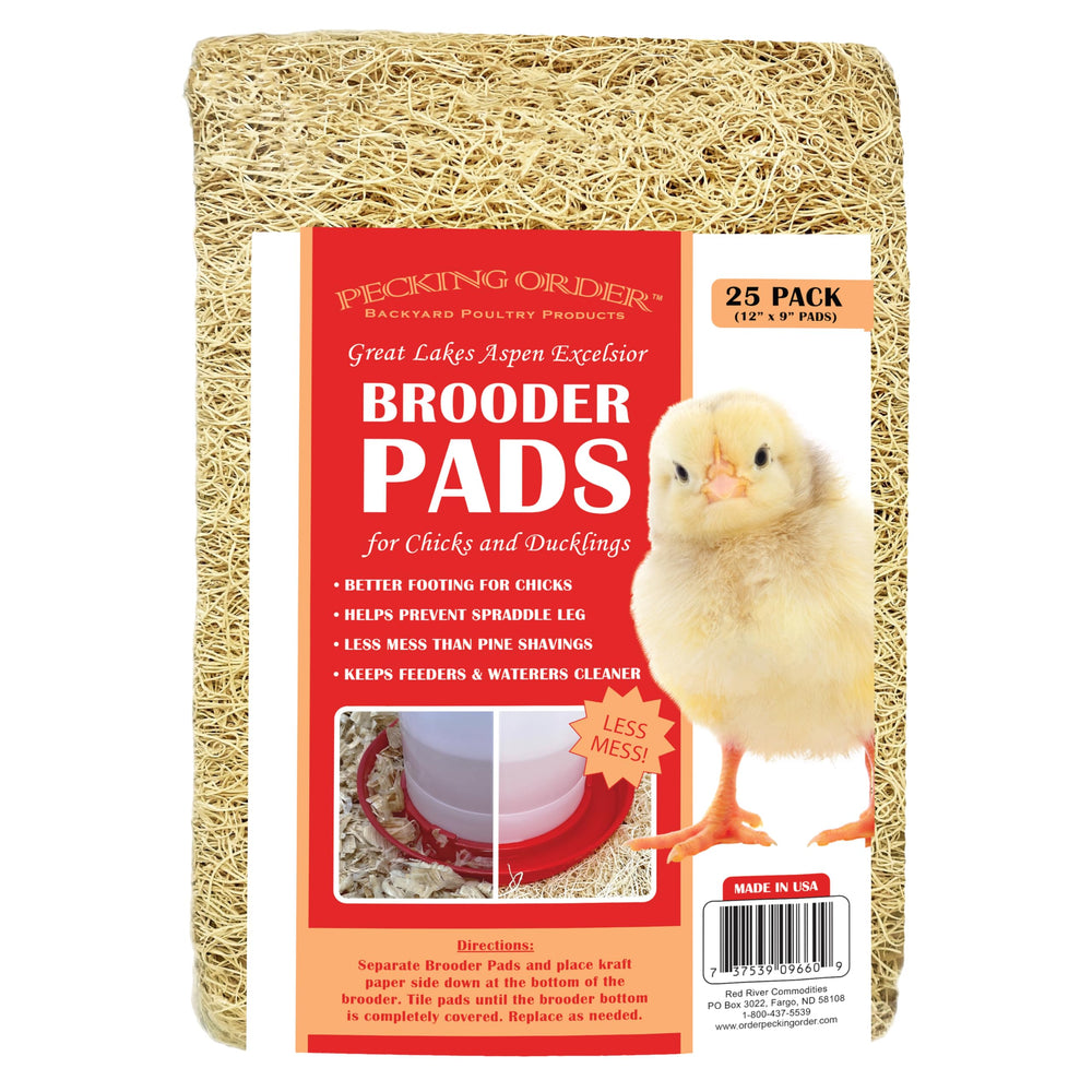 Pecking Order brooder pads with excelsior provide gentle footing for newborn chicks.