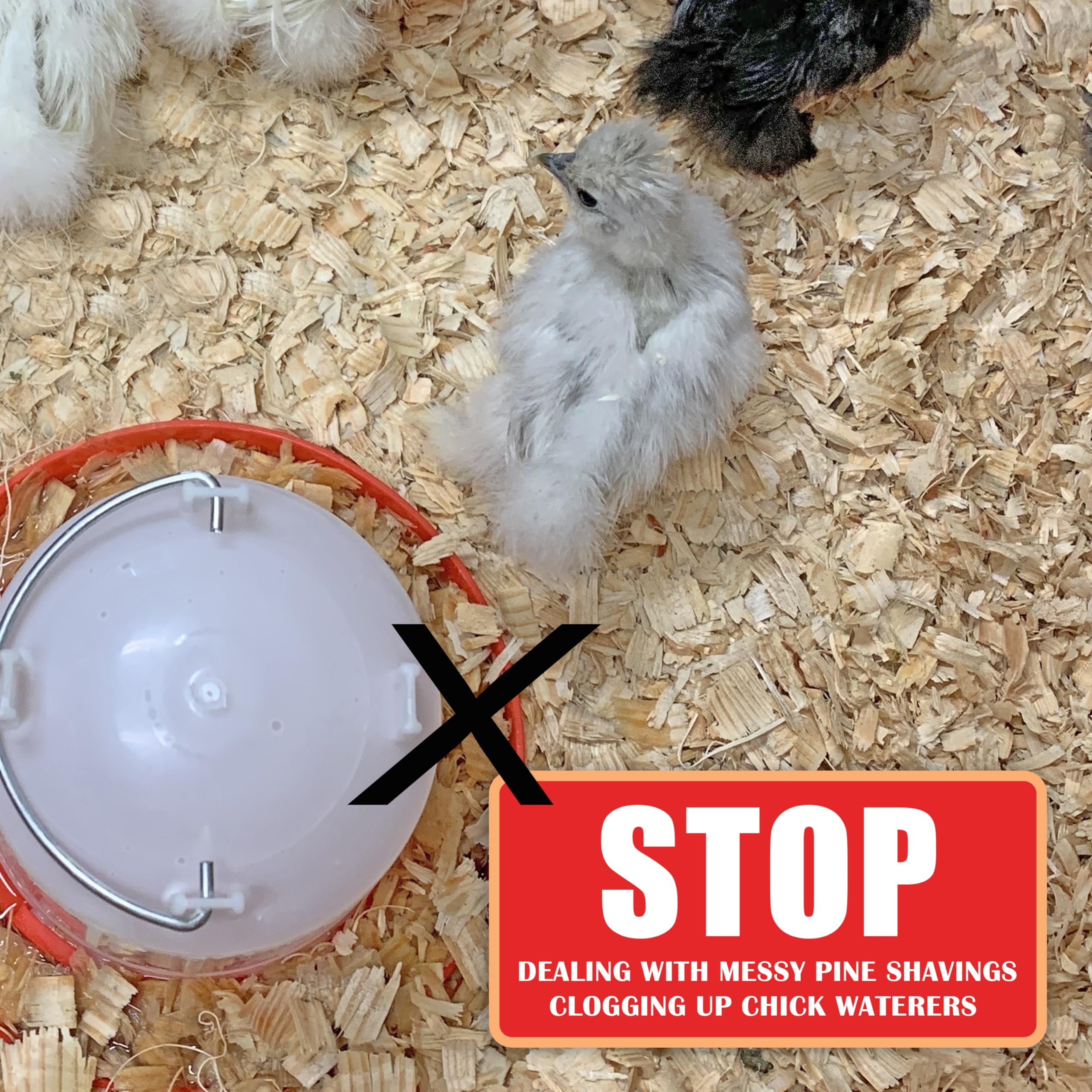 Pecking Order brooder pads in use offer easy replacement for clean brooders.