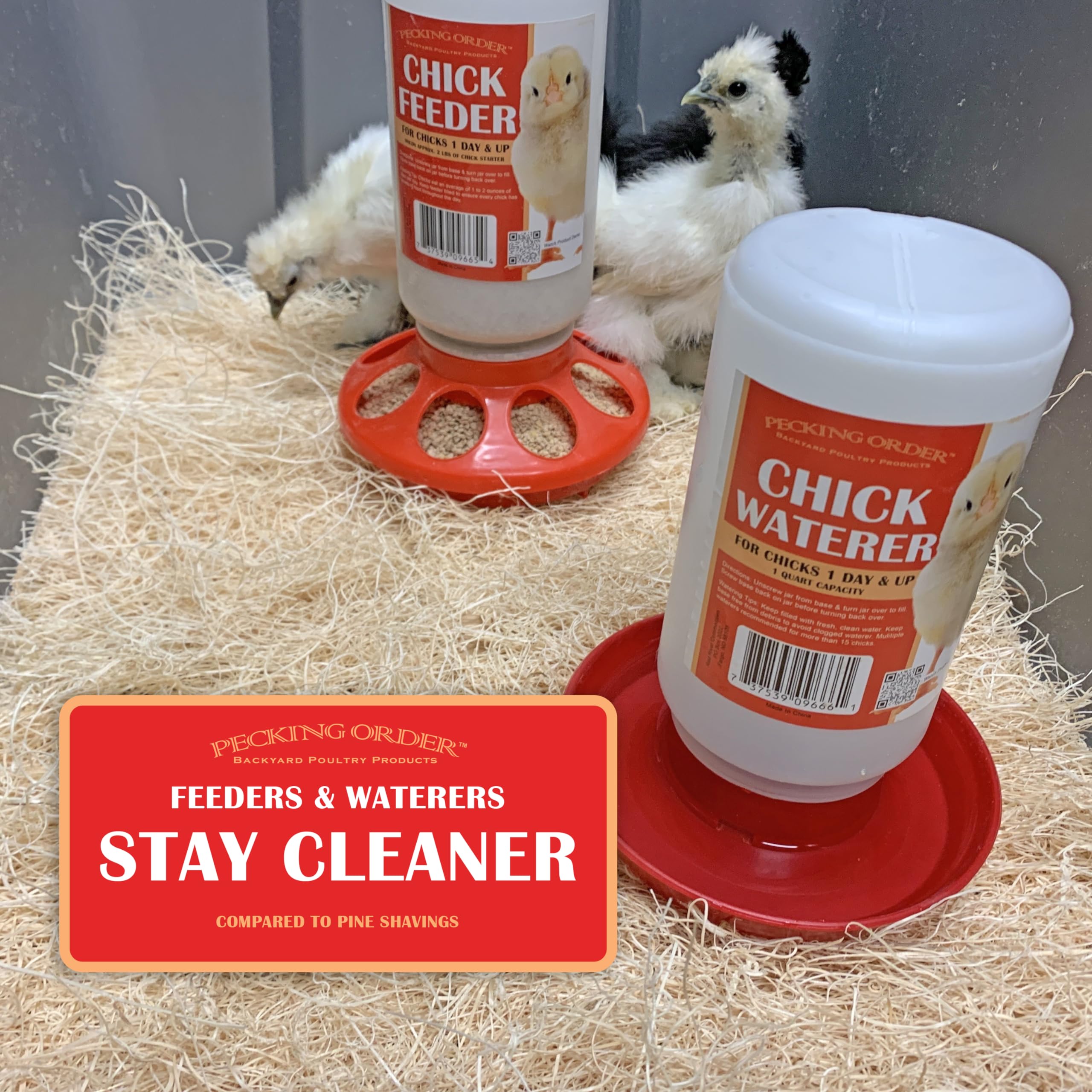 Pecking Order brooder pads show healthy footing with low-dust bedding.