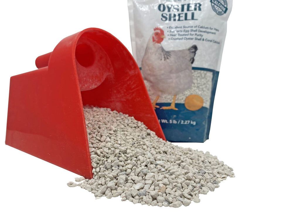Pecking Order Oyster Shell with hens shows calcium support for steady laying.