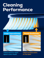 PECTRUS brush bristle holes dense structure supports thorough coverage.