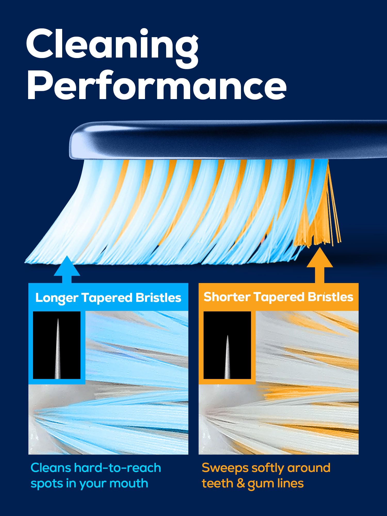 PECTRUS dense-bristle assembly highlights thorough brushing feel