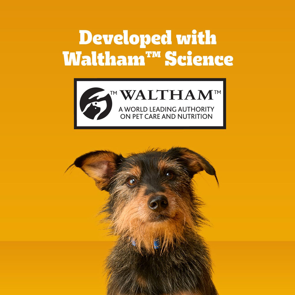 Pedigree Dentastix training reward showcases easy positive reinforcement.