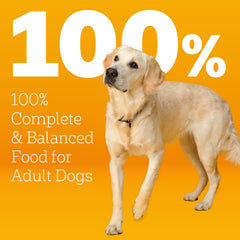 Serving bowl prepared with Pedigree Healthy Weight for a balanced adult-dog meal.