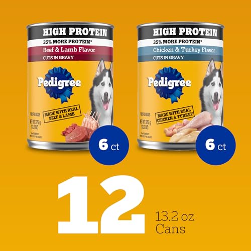 Pedigree High Protein Wet Dog Food chicken-turkey can, convenient daily feeding option.