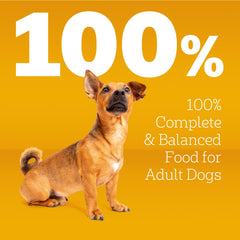 Pedigree Tender Bites in bowl for easy chewing and digestion