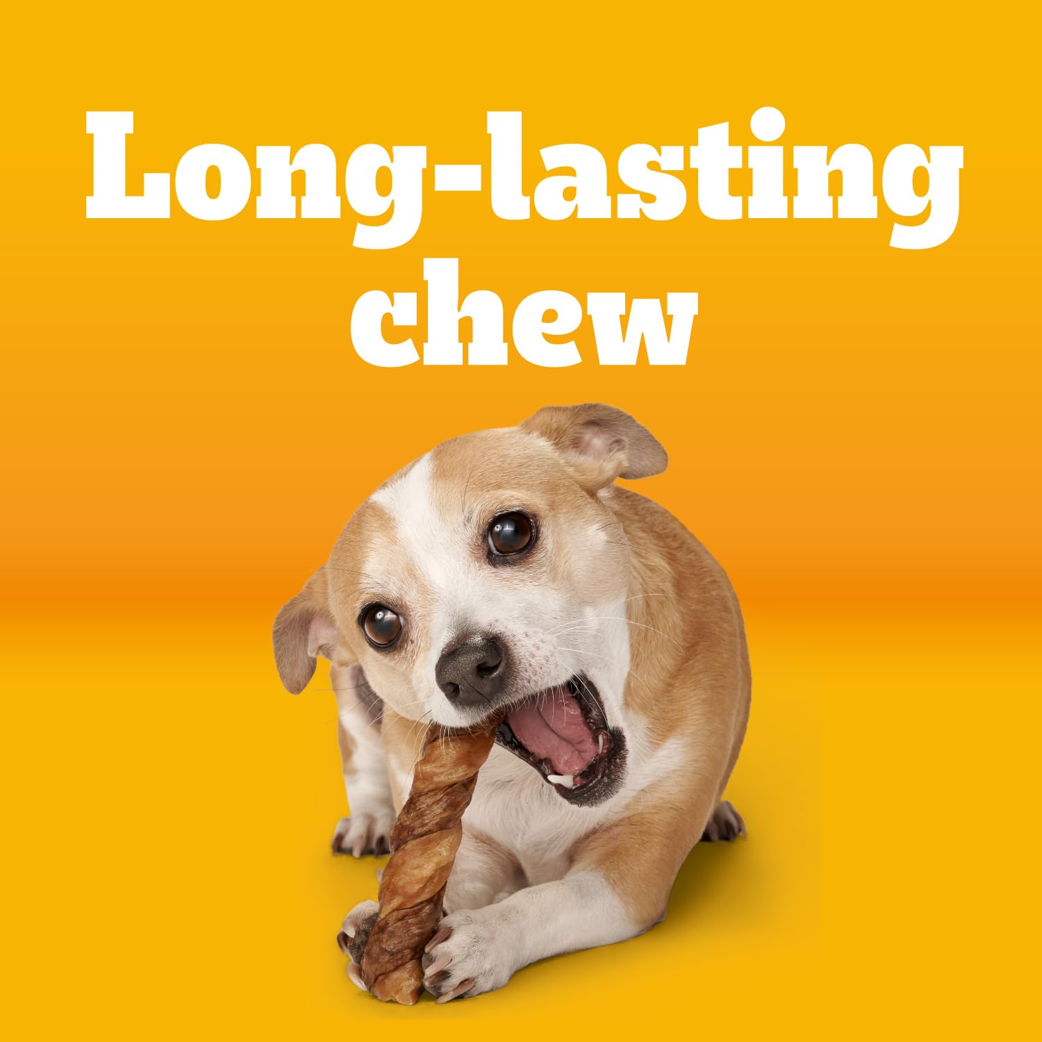Pedigree Twisty Chews chicken-beef twist close-up shows flavor and texture