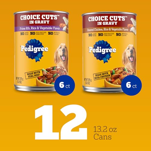 Pedigree wet dog food serving bowl showcasing convenient feeding