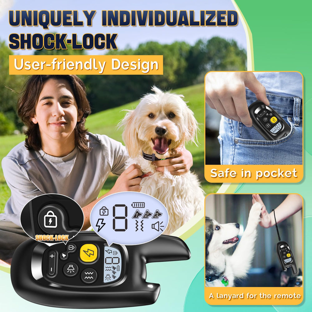 Pedono three-channel training setup for multiple dogs.