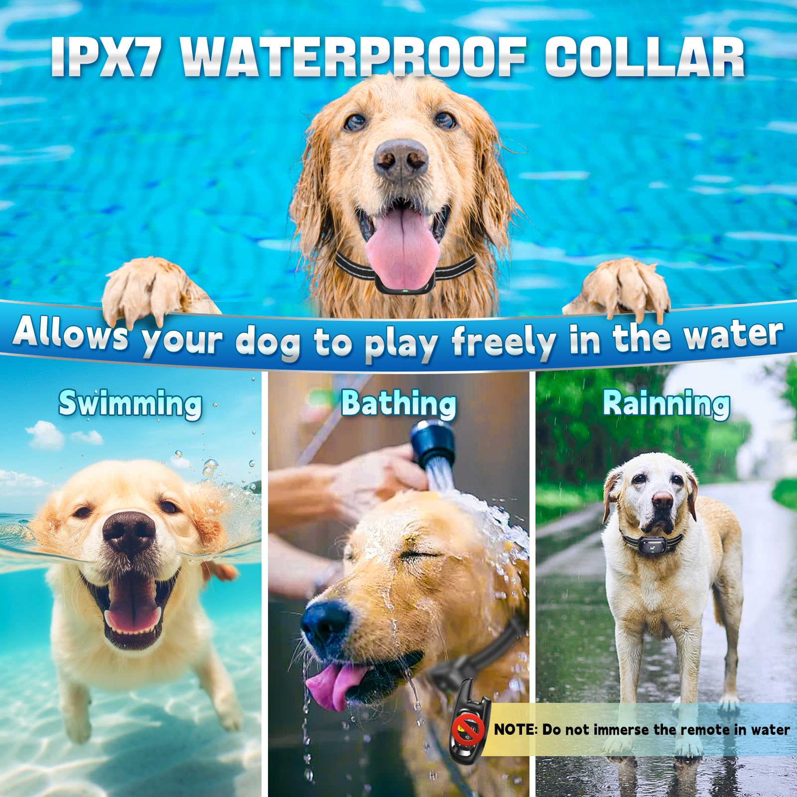 Pedono IPX7 waterproof collar for rain or water play.