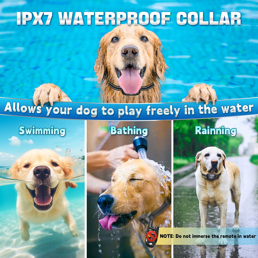 Pedono IPX7 waterproof collar for rain or water play.