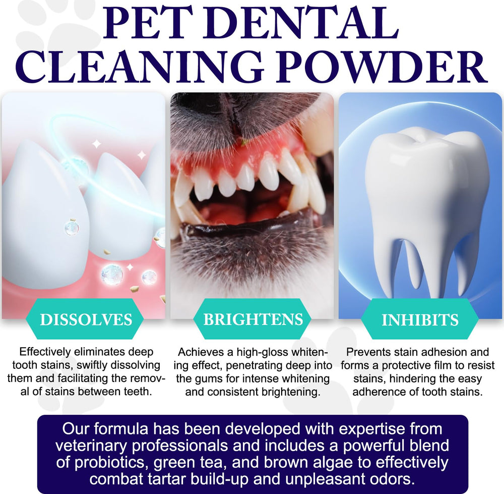 Peesnb dental powder being dispensed for easy application to pets.