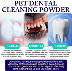 Peesnb dental powder being dispensed for easy application to pets.