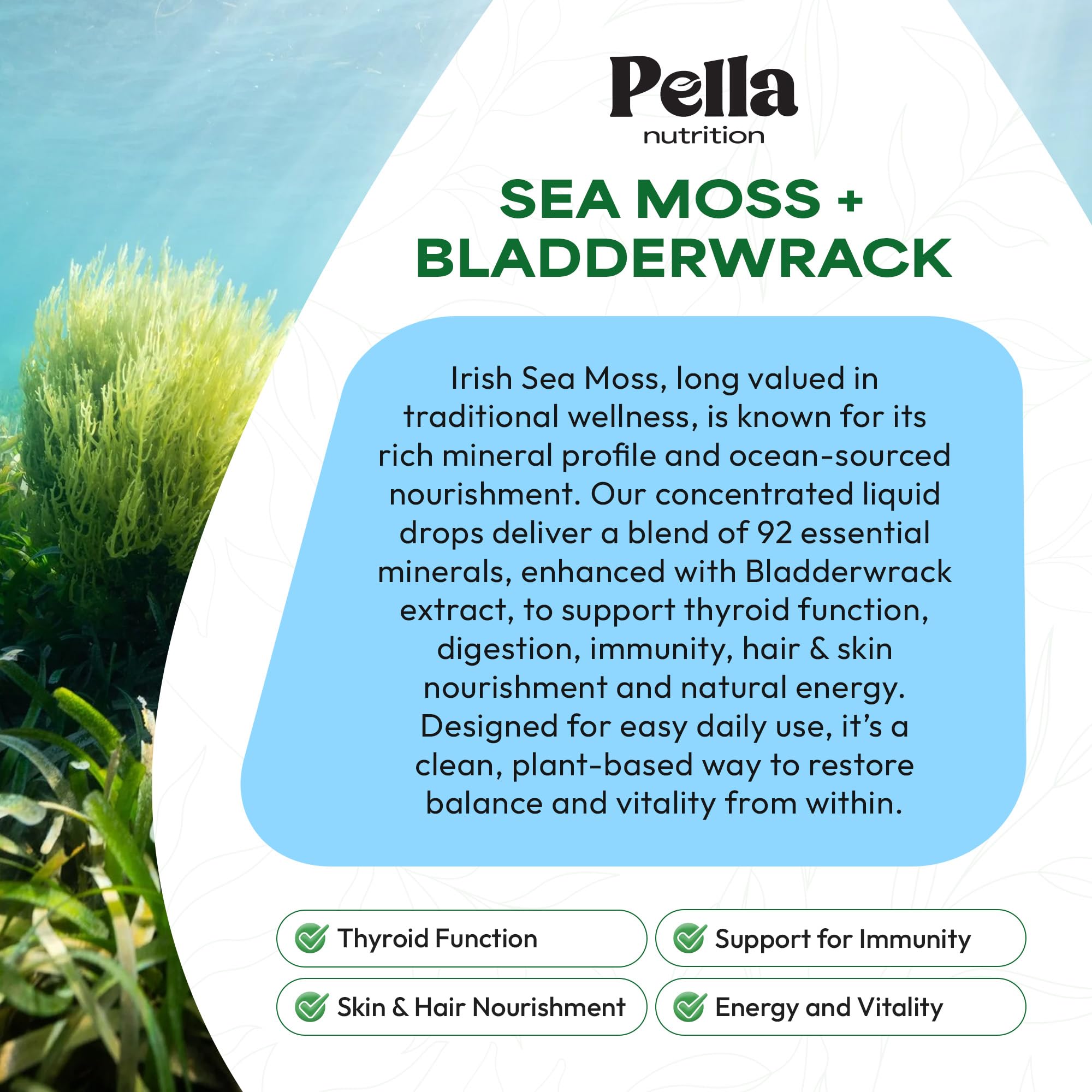 Pella Nutrition Sea Moss Drops bottle resting on white countertop for easy daily use