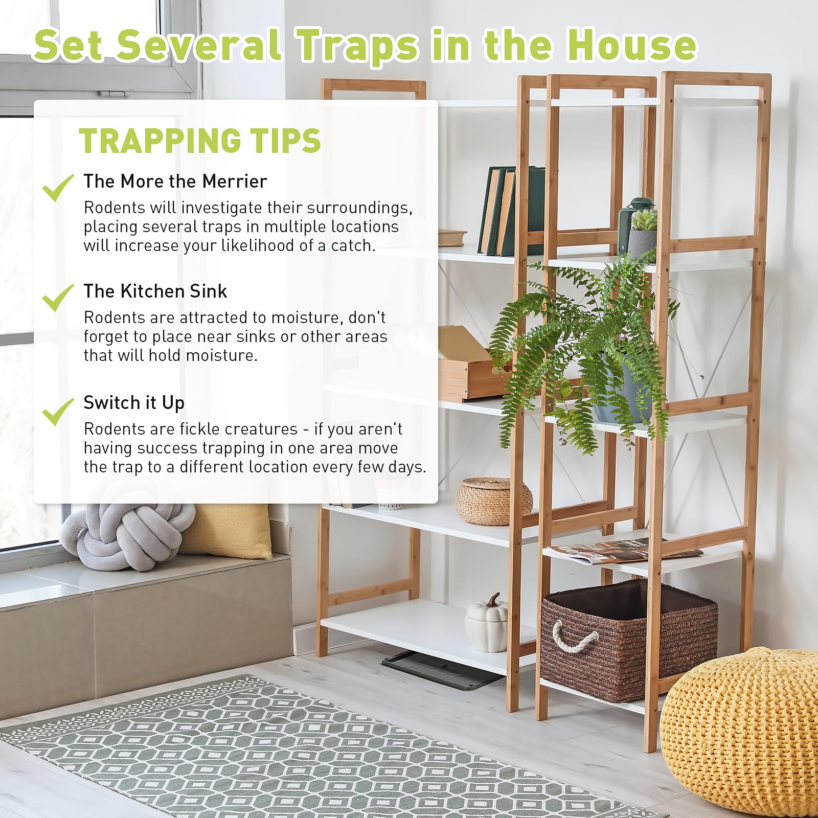 Pelrayt broad-application pest traps suitable for basements and warehouses.