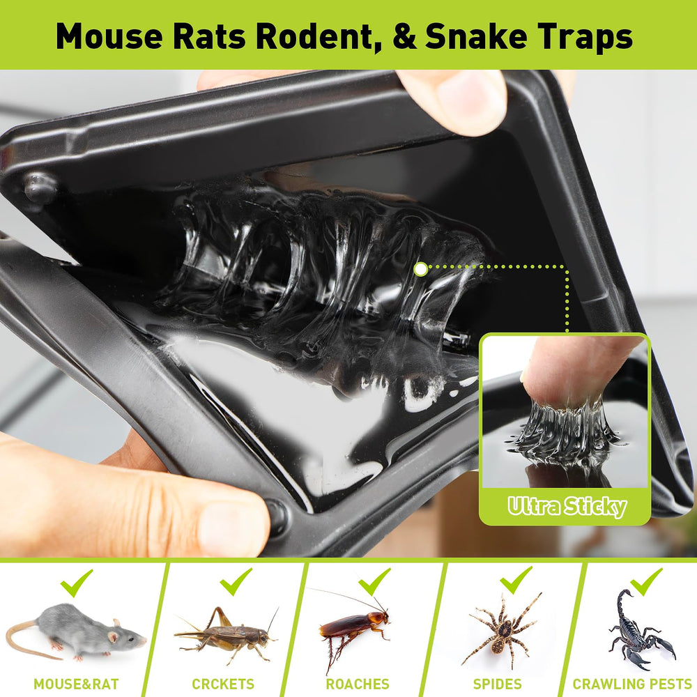 Pelrayt large heavy-duty glue trap demonstrates durability for robust pests.