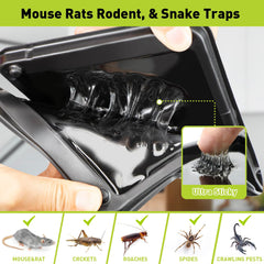 Pelrayt large heavy-duty glue trap demonstrates durability for robust pests.