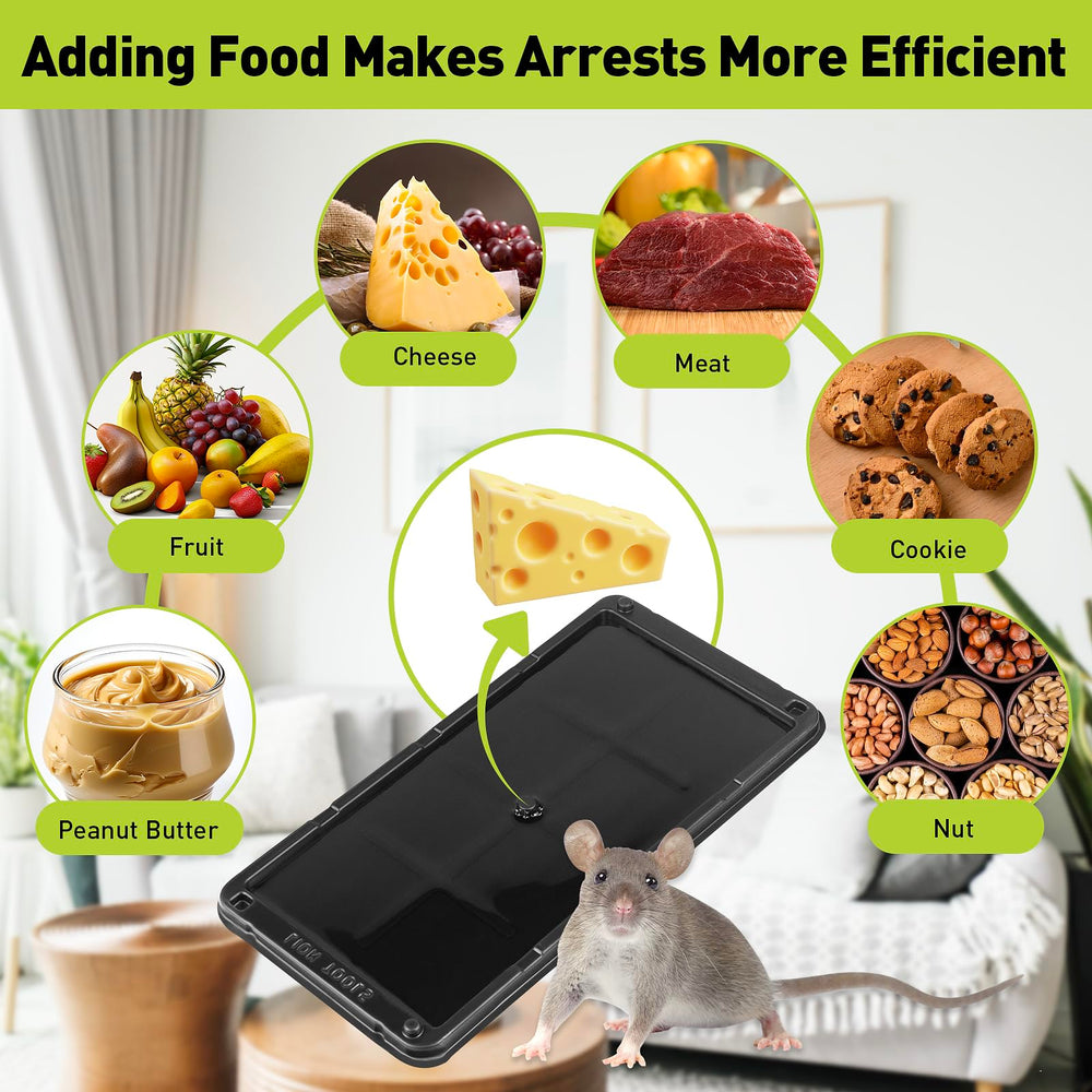 Pelrayt non-toxic glue traps safe for families and pets.