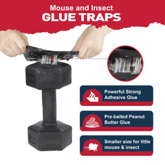 Pelrayt pre-scented glue traps highlight ready-to-use efficiency.
