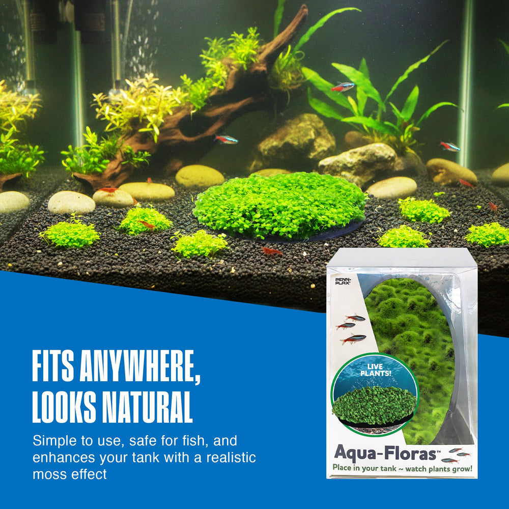 Aqua-Flora is safe for freshwater fish under proper water conditions.