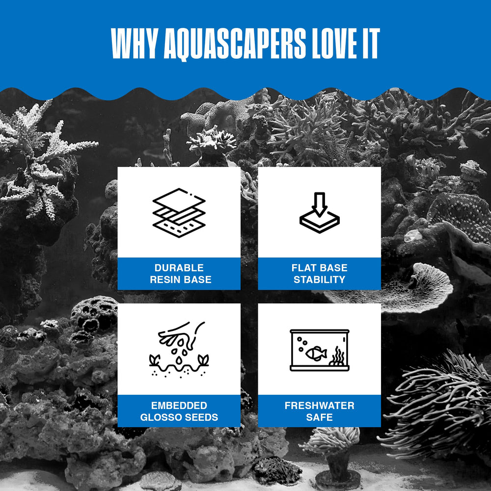 Submerge the Aqua-Flora Moss Patch to start growth in freshwater.