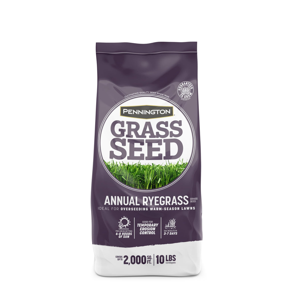 Pennington annual ryegrass seed bag for fast germination and vibrant temporary lawn color.