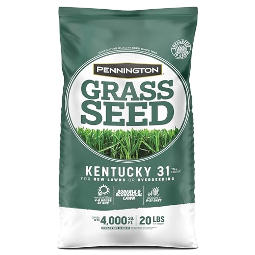 Pennington Kentucky 31 Tall Fescue coverage up to 4000 sq ft for overseeding.