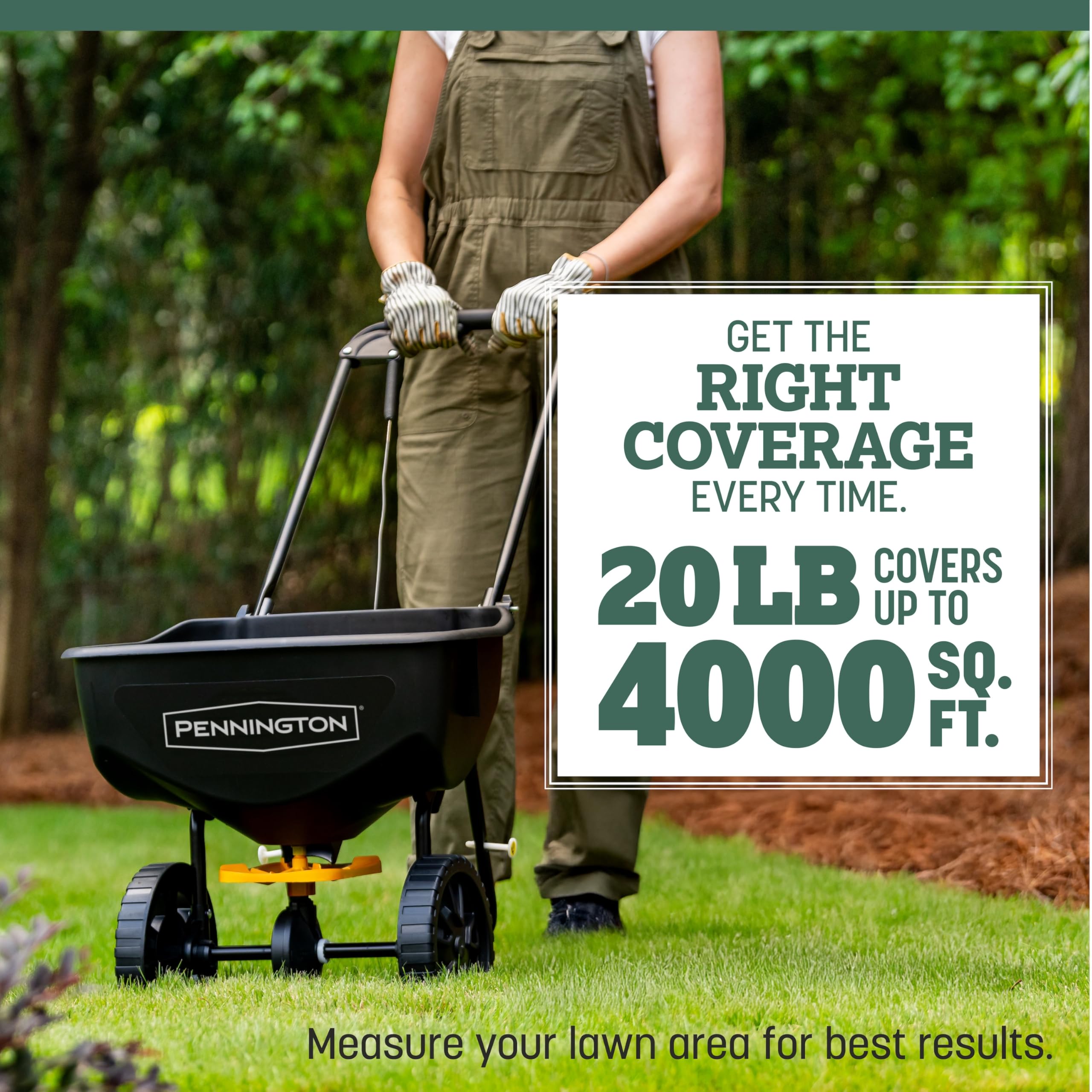 Pennington Kentucky 31 Tall Fescue heat-tolerant blades in hot conditions.