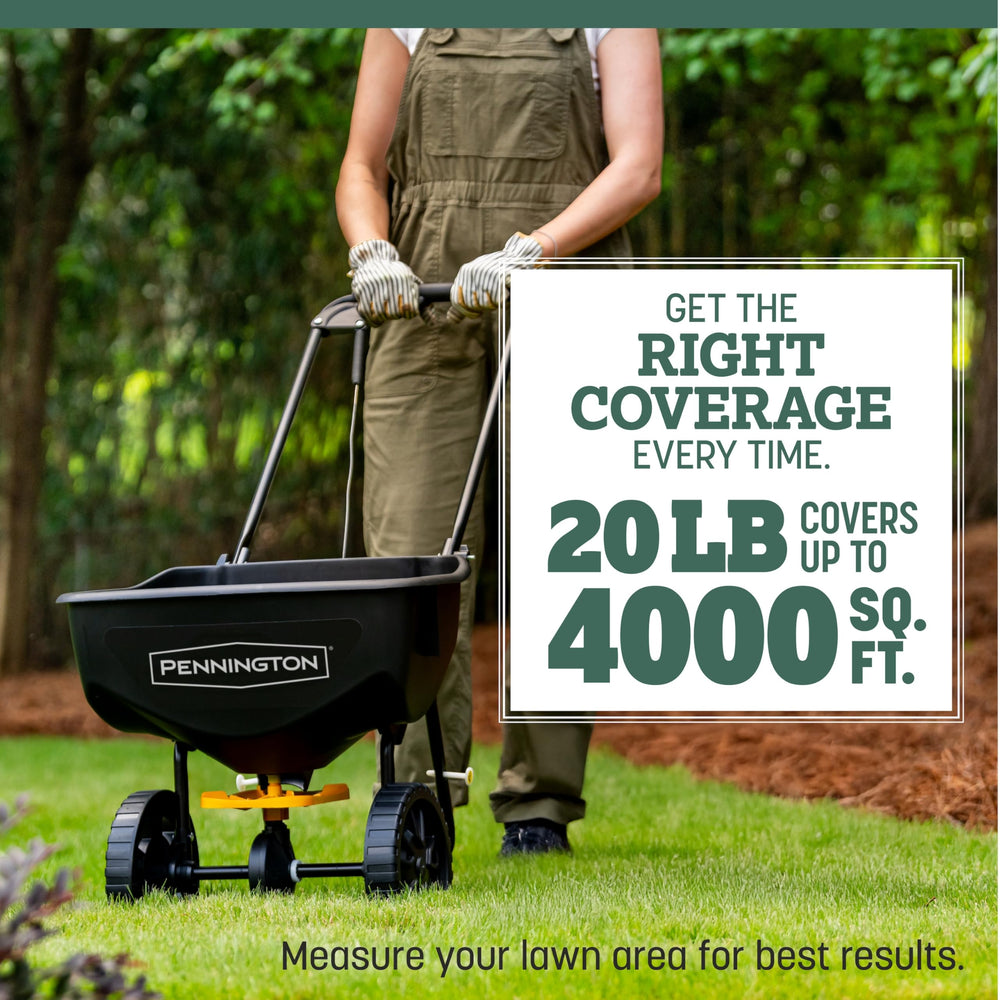 Pennington Kentucky 31 Tall Fescue heat-tolerant blades in hot conditions.