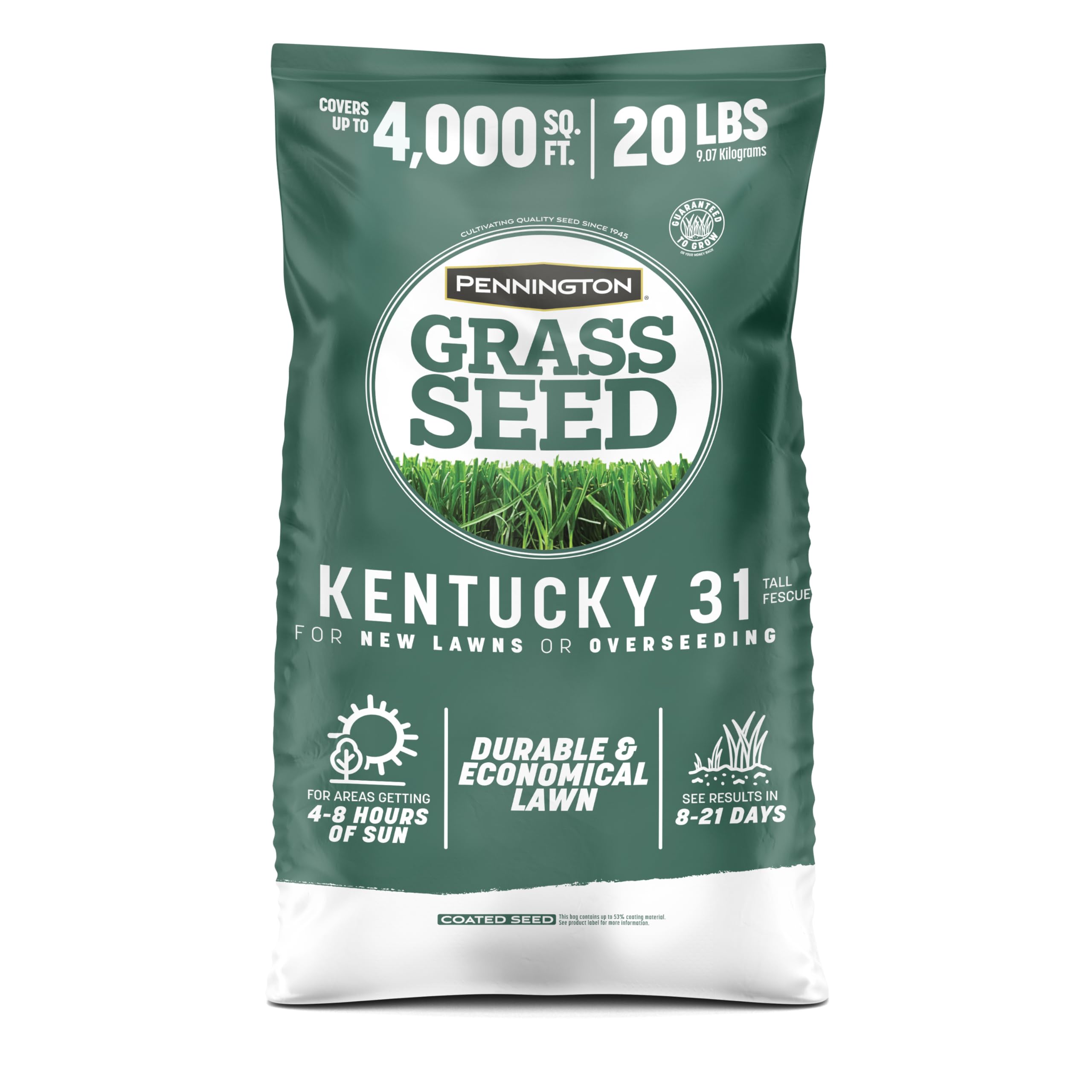 Pennington Kentucky 31 Tall Fescue seed bag 20 lb for durable lawns.