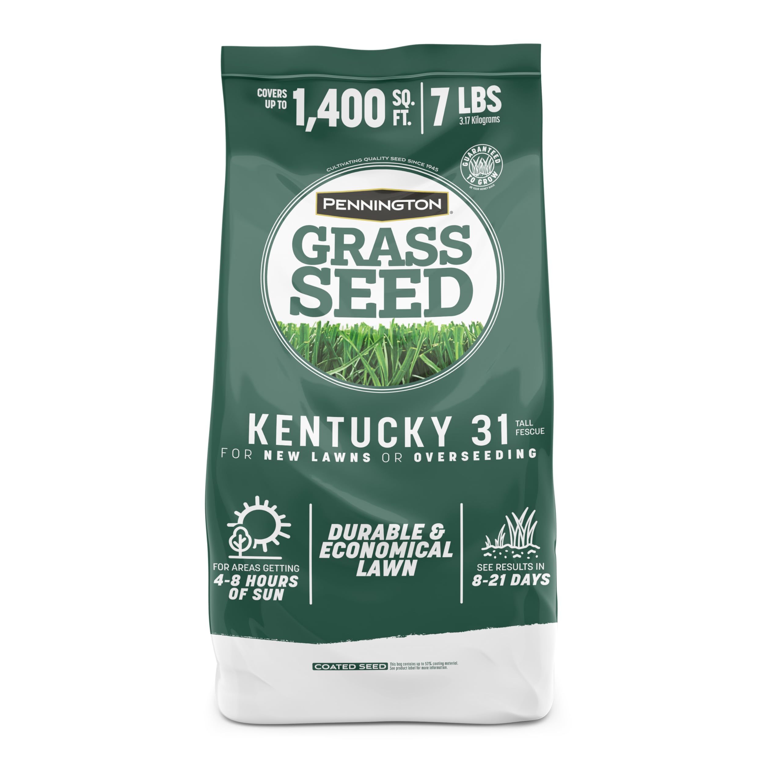 Pennington Kentucky 31 Tall Fescue seed bag ready for overseeding sunny lawns