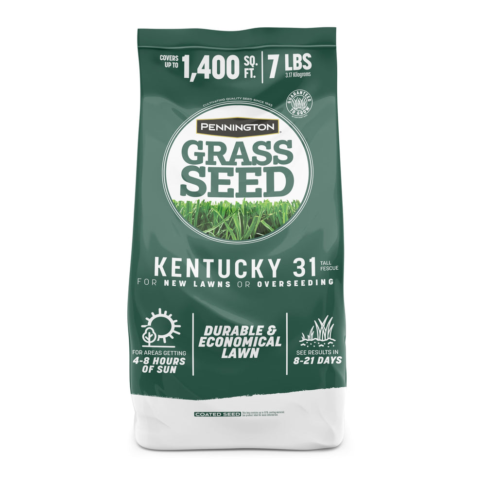Pennington Kentucky 31 Tall Fescue seed bag ready for overseeding sunny lawns