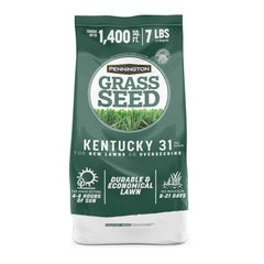 Pennington Kentucky 31 Tall Fescue seed bag ready for overseeding sunny lawns