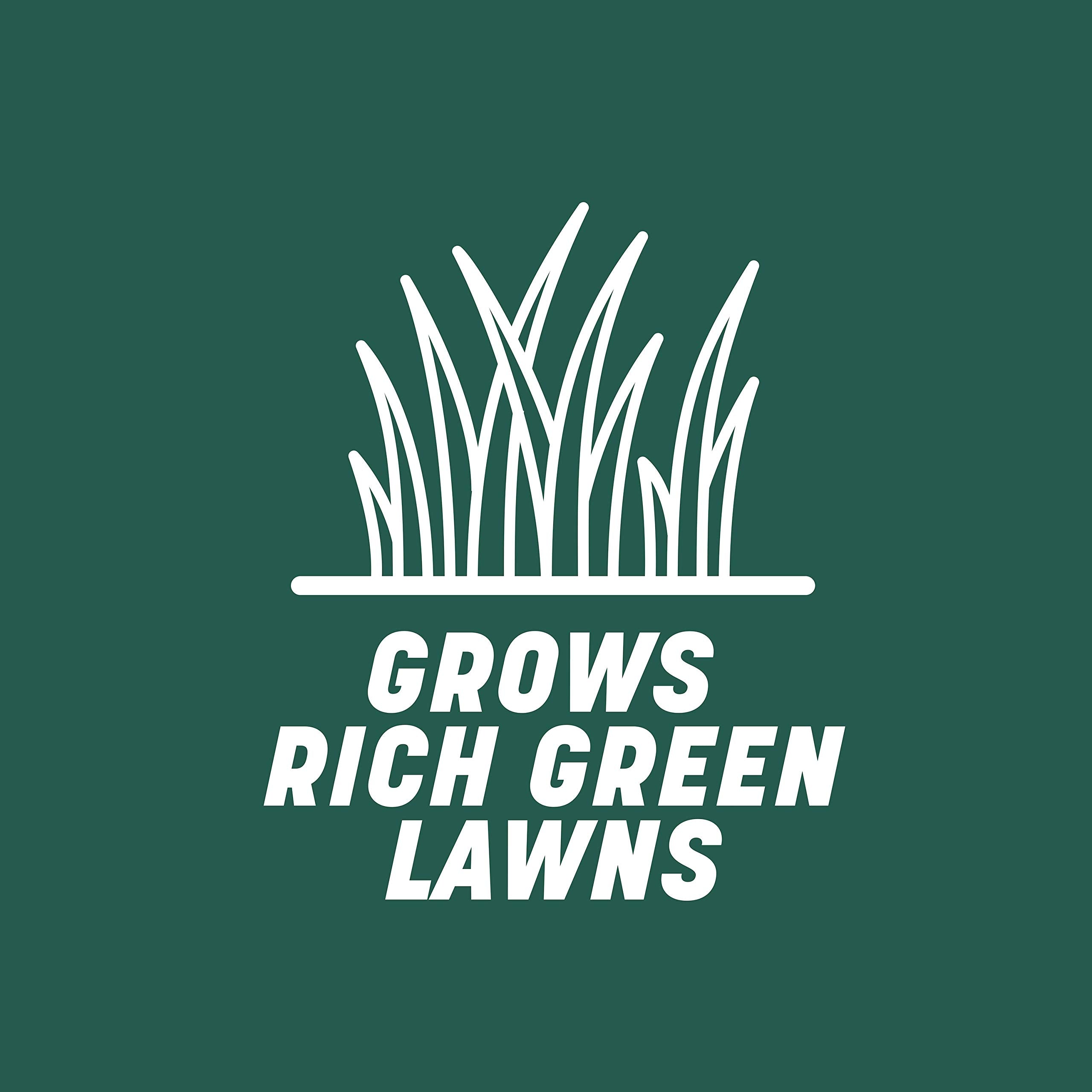 Pennington new lawn seed covers 330 sq ft for starter lawns.