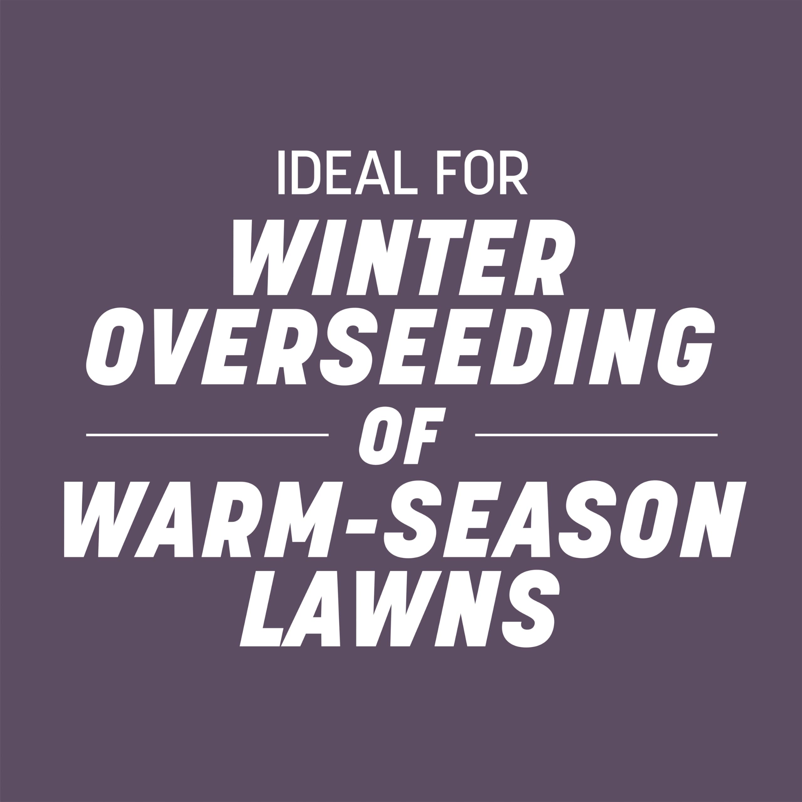 Pennington ryegrass grows across the USA for versatile lawns.