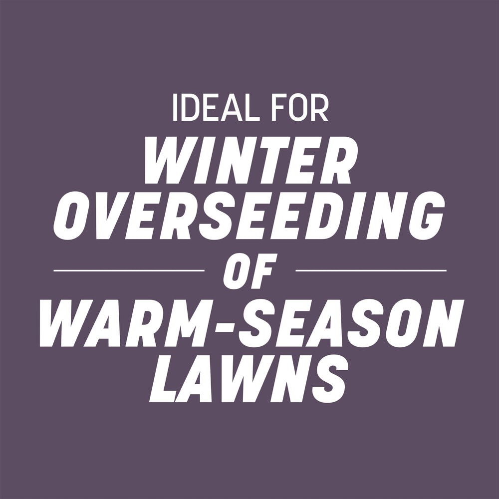 Pennington ryegrass grows across the USA for versatile lawns.
