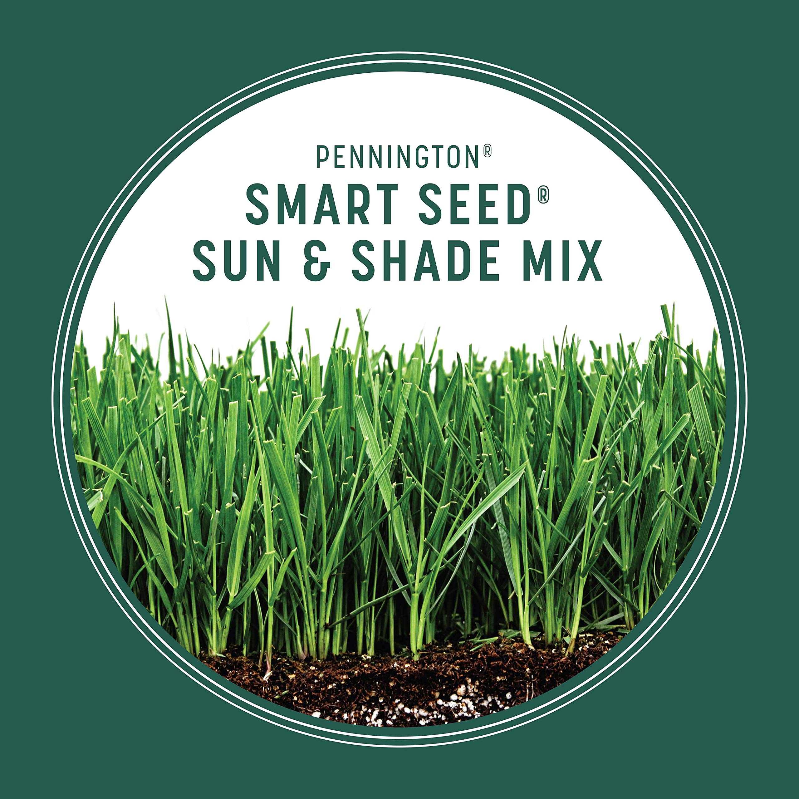 Pennington Smart Seed bag in sunny area demonstrates 4–6 hours sun zone.
