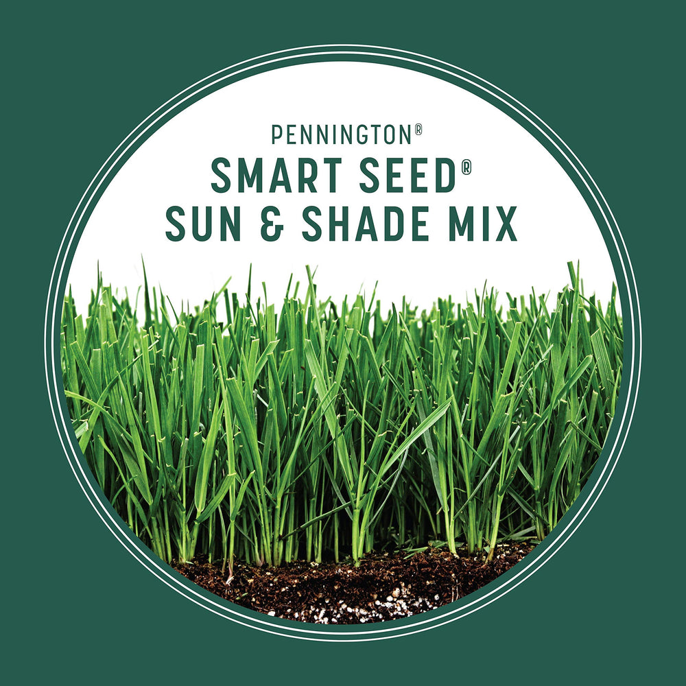 Pennington Smart Seed bag in sunny area demonstrates 4–6 hours sun zone.