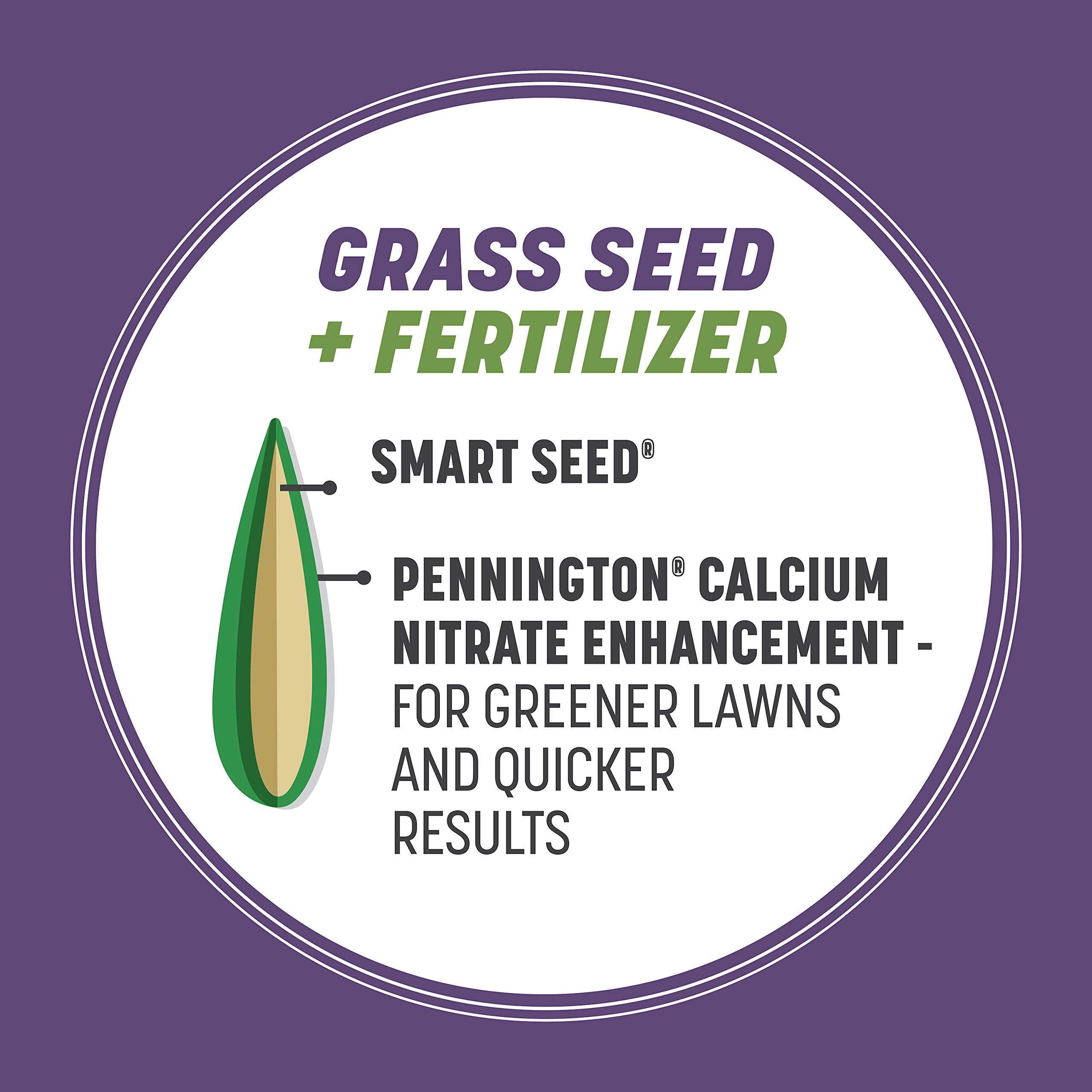 Pennington Smart Seed Dense Shade soil prep for overseeding in shade.